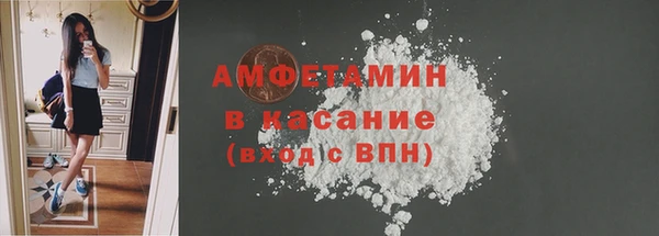 индика Абаза