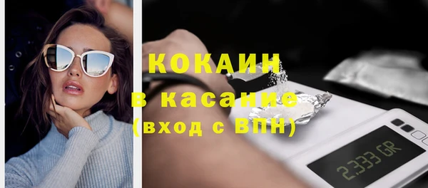 индика Абаза