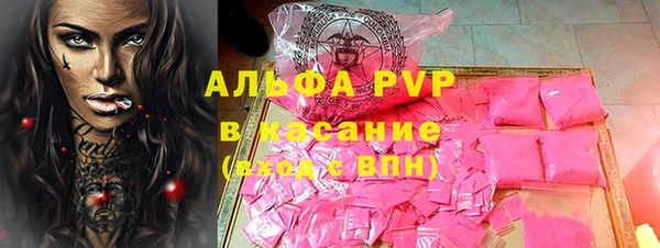 индика Абаза
