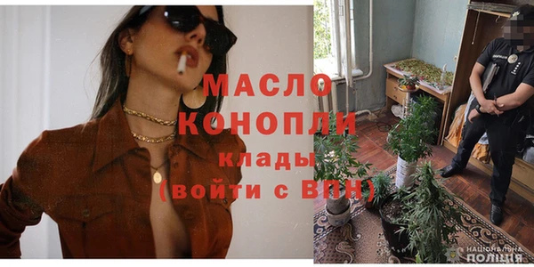 индика Абаза