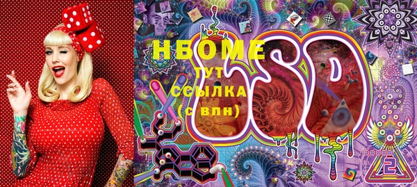 индика Абаза
