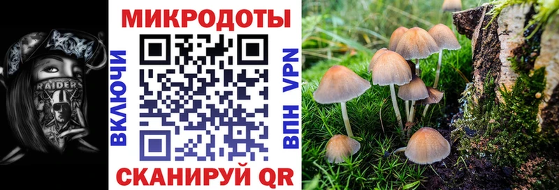 закладка  Рыльск  Псилоцибиновые грибы ЛСД 